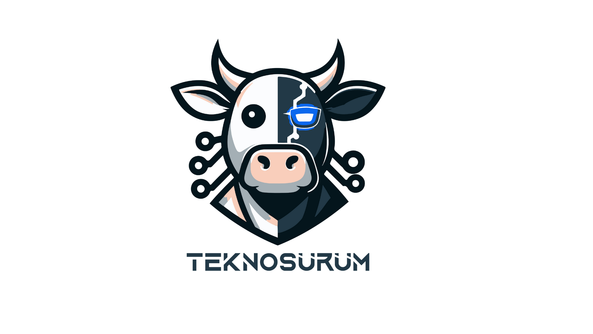 TeknoSürüm